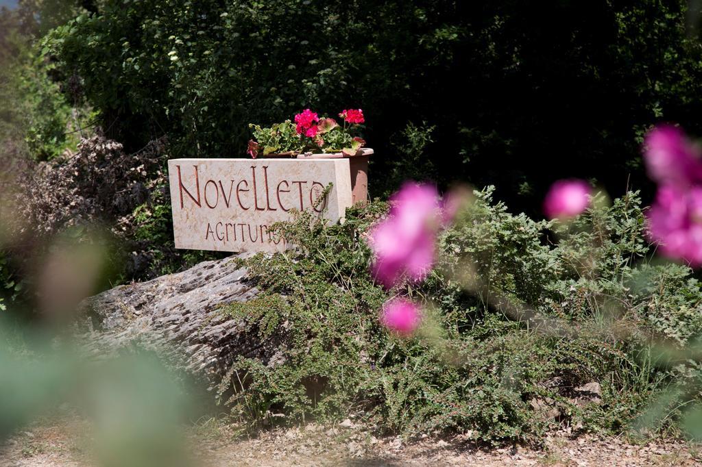 Novelleto Villa Monteriggioni Ngoại thất bức ảnh