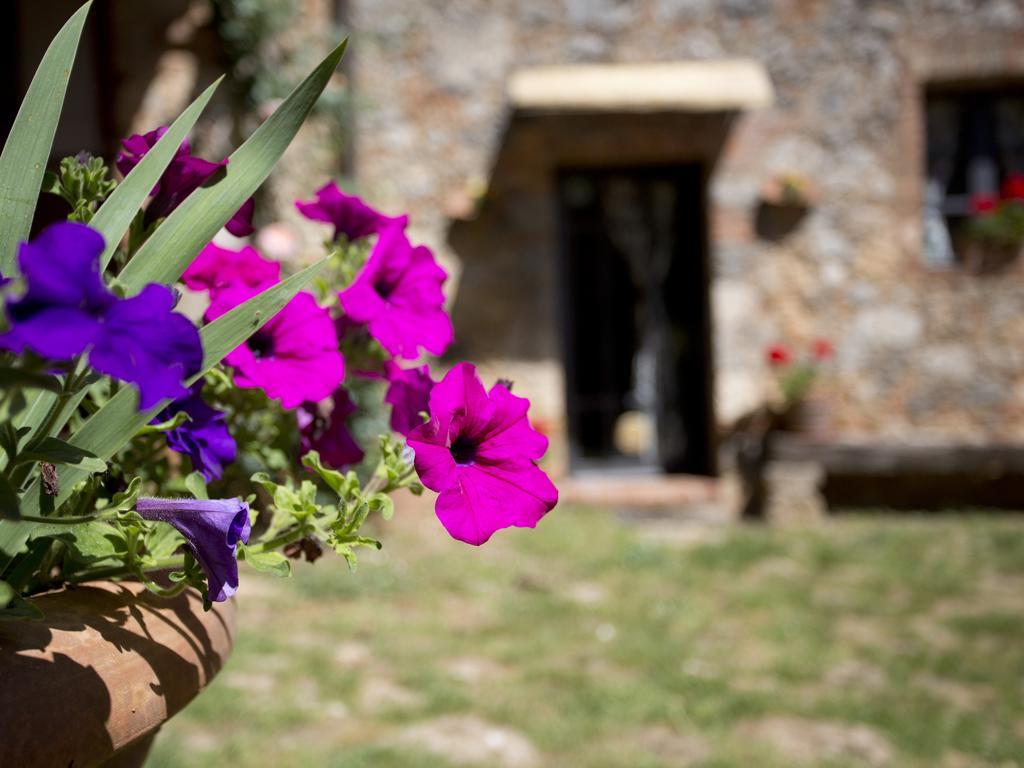 Novelleto Villa Monteriggioni Ngoại thất bức ảnh