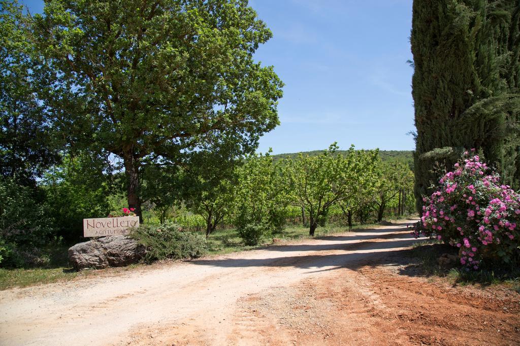 Novelleto Villa Monteriggioni Ngoại thất bức ảnh